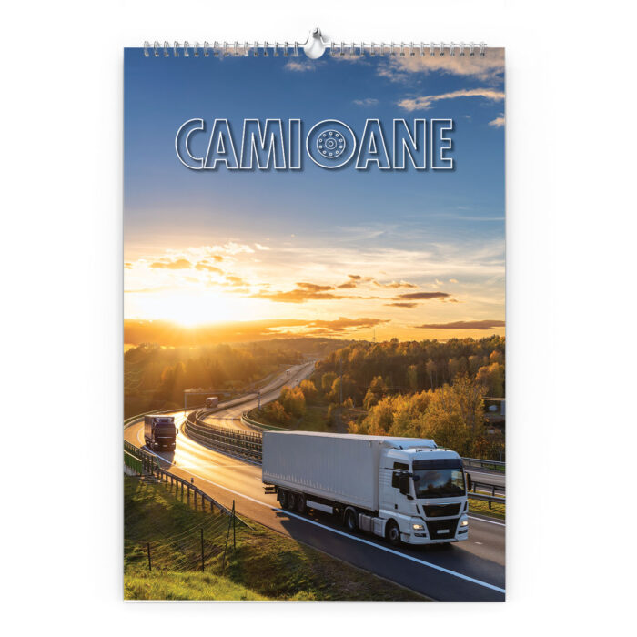 CAMIOANE - imagine 14