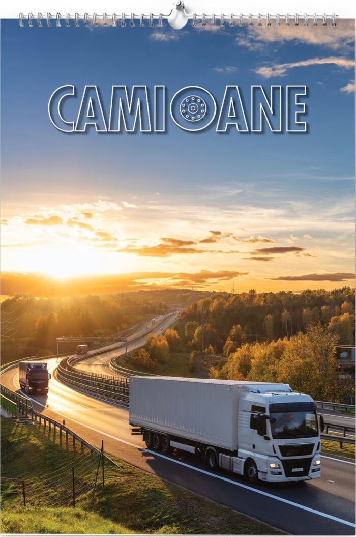 CAMIOANE